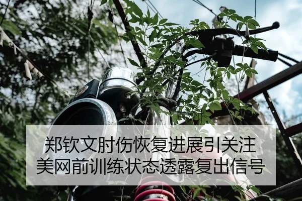郑钦文肘伤恢复进展引关注 美网前训练状态透露复出信号