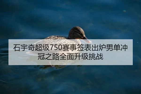 石宇奇超级750赛事签表出炉男单冲冠之路全面升级挑战